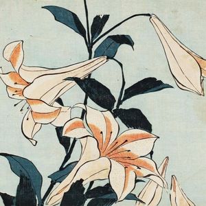 Meet your Posher, Nikole